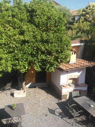 Apartamento Agriturismo Ardissone Thomas