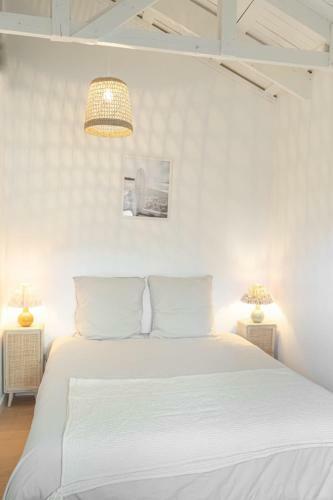 Bright House With Terrace In Arcachon