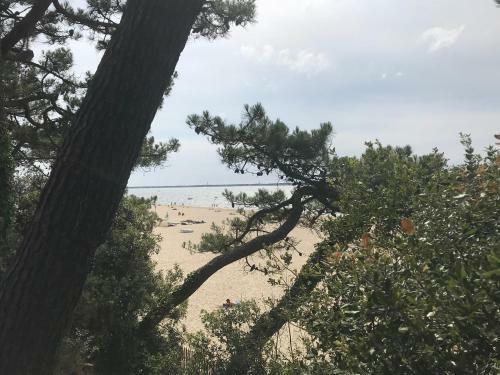 Apartamento Arcachon Pereire Bord De Plage