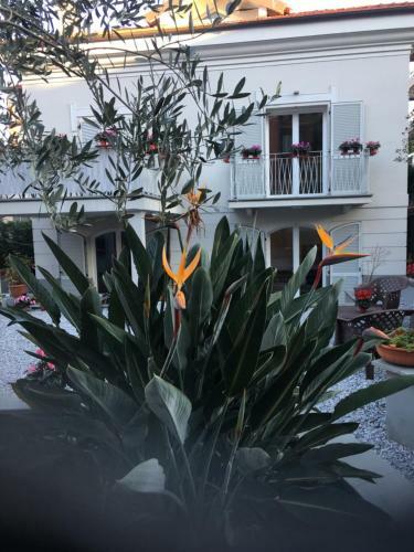 Hostal Guesthouse Villa Jung