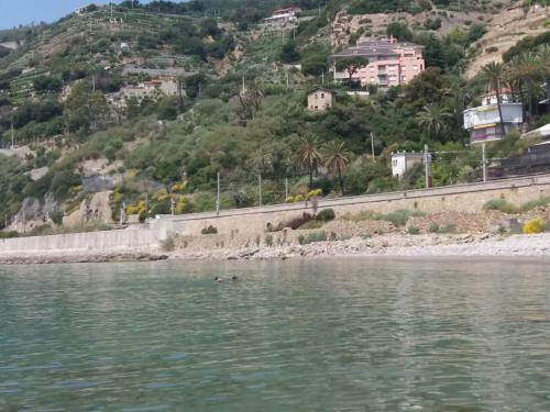 Apartamento Punta Sole