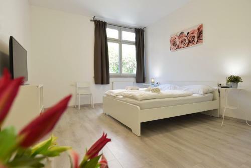 Mary's Rooms & Apartments