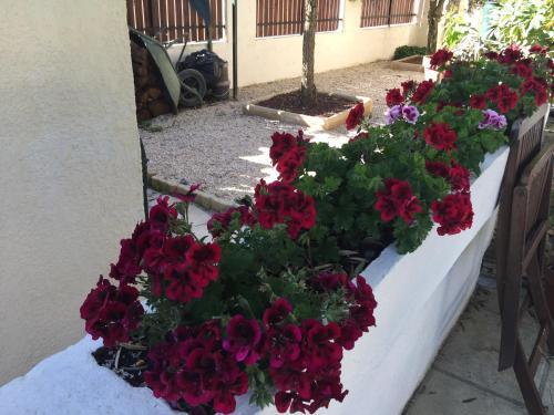 Bed & Breakfast Chambre D'h�tes - Les Oliviers