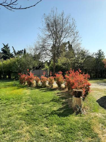 Agroturismo G�te De Charme