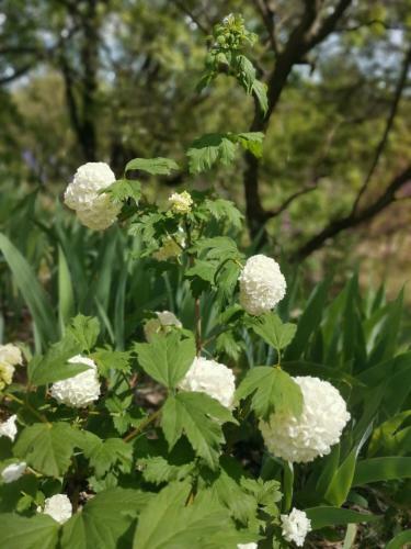G�te Montmajour - Mas Des Oursons