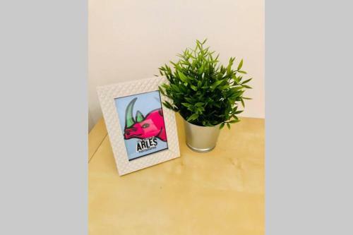 Apartamento Studio S�r�nit�-la Roquette-rue Tr�s Calme