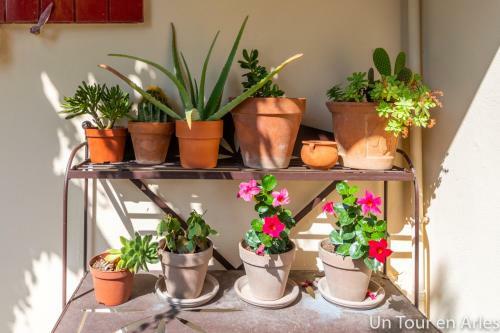 Apartamentos Un Tour En Arles