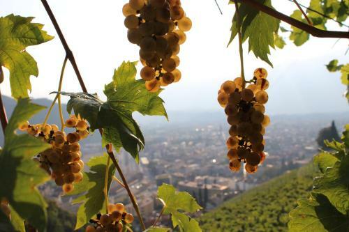Apartamento Weingut Eberlehof