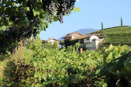 Apartamento Weingut Eberlehof