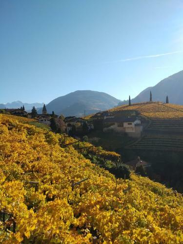 Apartamento Weingut Eberlehof
