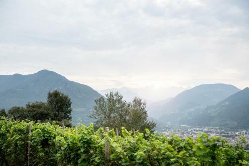 Apartamento Kristplonerhof