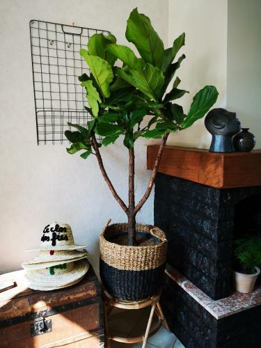 Bed & Breakfast Le Clos Des F�es
