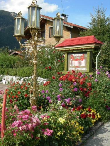 Hostal S'hoamatl