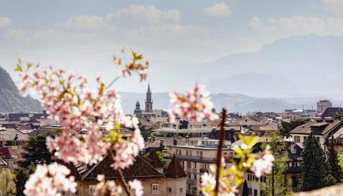 Apartamento App 3 Palazzo Cavour