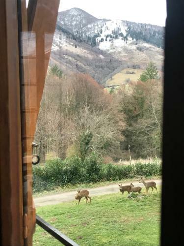 Apartamento Chalet Avec Chemin�e, Calme Et Vue Panoramique