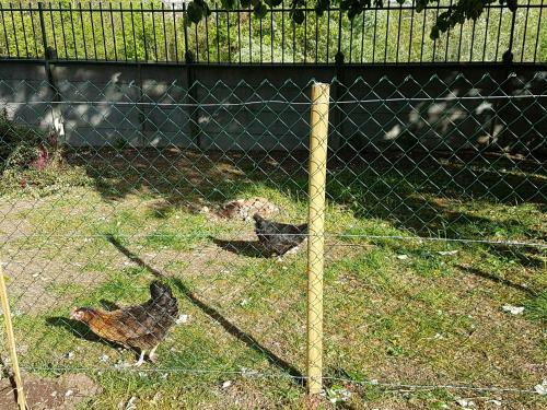 Entre Ville Et Campagne