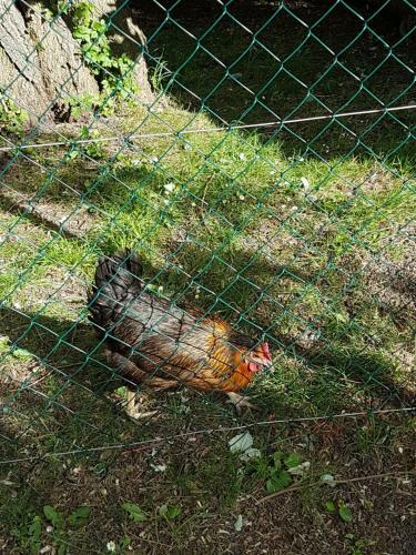 Entre Ville Et Campagne