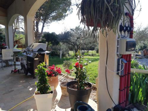 Au Coeur De L Olivette