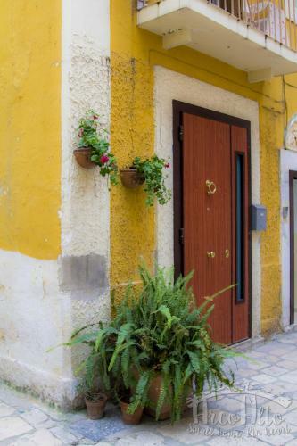Arco Alto Apartment