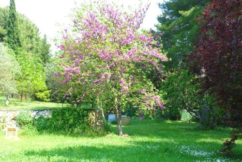 Rare - Escale Bicolore - Bas de Villa Priv� Proche de Cassis Avec Piscine Chauff�e