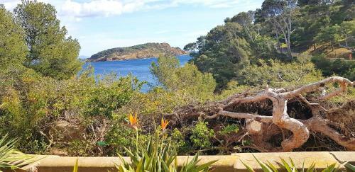 Rare - Escale Bicolore - Bas de Villa Priv� Proche de Cassis Avec Piscine Chauff�e