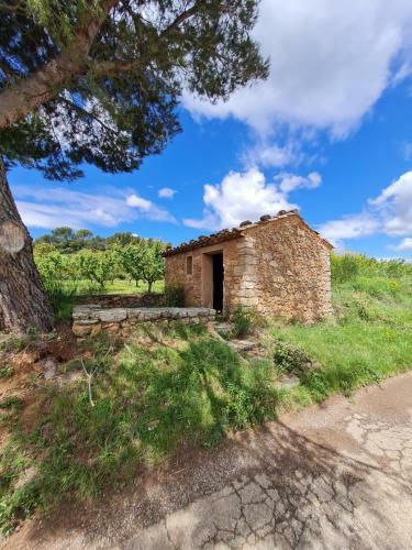 Bed & Breakfast Villa Marie