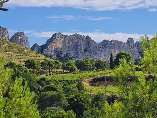 Bed & Breakfast Villa Marie