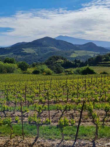 Bed & Breakfast Villa Marie