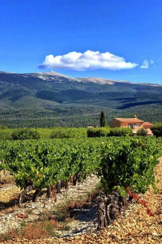 Bed & Breakfast Villa Marie