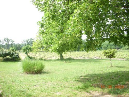 Mas Provencal Le Rocan