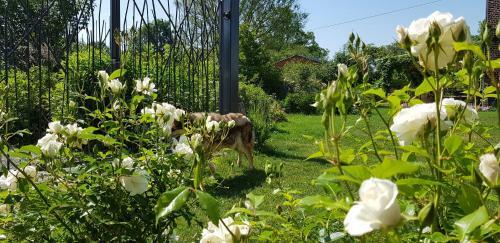 Bed & Breakfast Il Etait Une Ferme