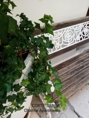 Apartamento Corte Serra
