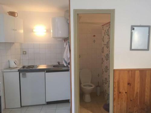 Apartamento Aux Volets Bleus D'aulus