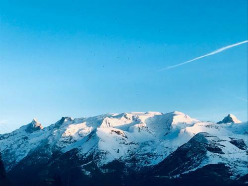 Chalet Alpina