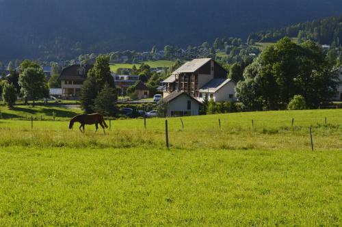 Apartamento Le Chevreuil