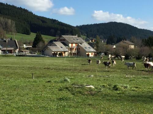 Apartamentos Les Ptits Loups Autrans