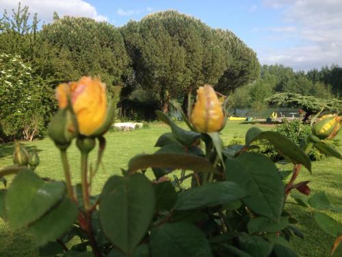 Bed & Breakfast La Maison Du Lac