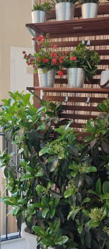 Apartamento Traiano Luxury Home