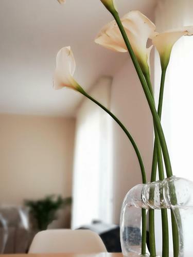 Apartamento So Fine - Apulian Flats