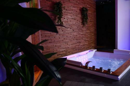 Apartamento Spa Privatif By Xela