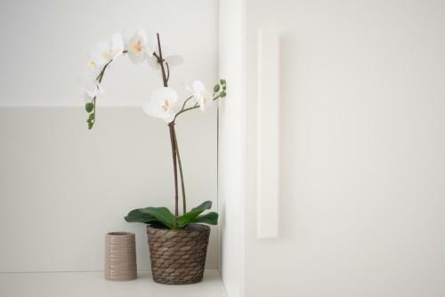 Apartamento Redi Suite