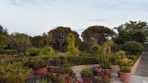 Villa Mistral - Bari Japigia