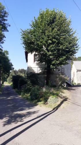 Le Nid Des Avezous