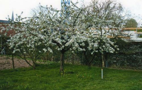 G�te Du Jardin