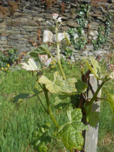 G�te Du Jardin