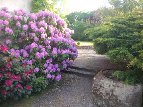 Hostal Le Prieur�