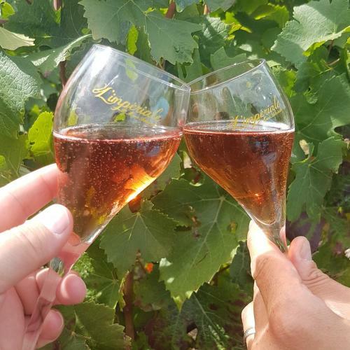Apartamento G�te Le Cocon Ay-champagne