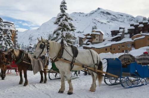 Apartamento Avoriaz Douchka 118