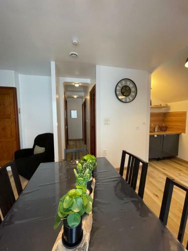Apartamento Appart Chaleureux de 65m2 Vue Montagne, Rivi�re