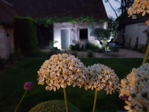 Bed & Breakfast Le Clos Falaw